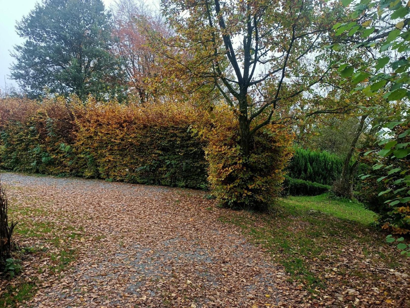 Dri Les Courtils Villa La-Roche-en-Ardenne Luaran gambar